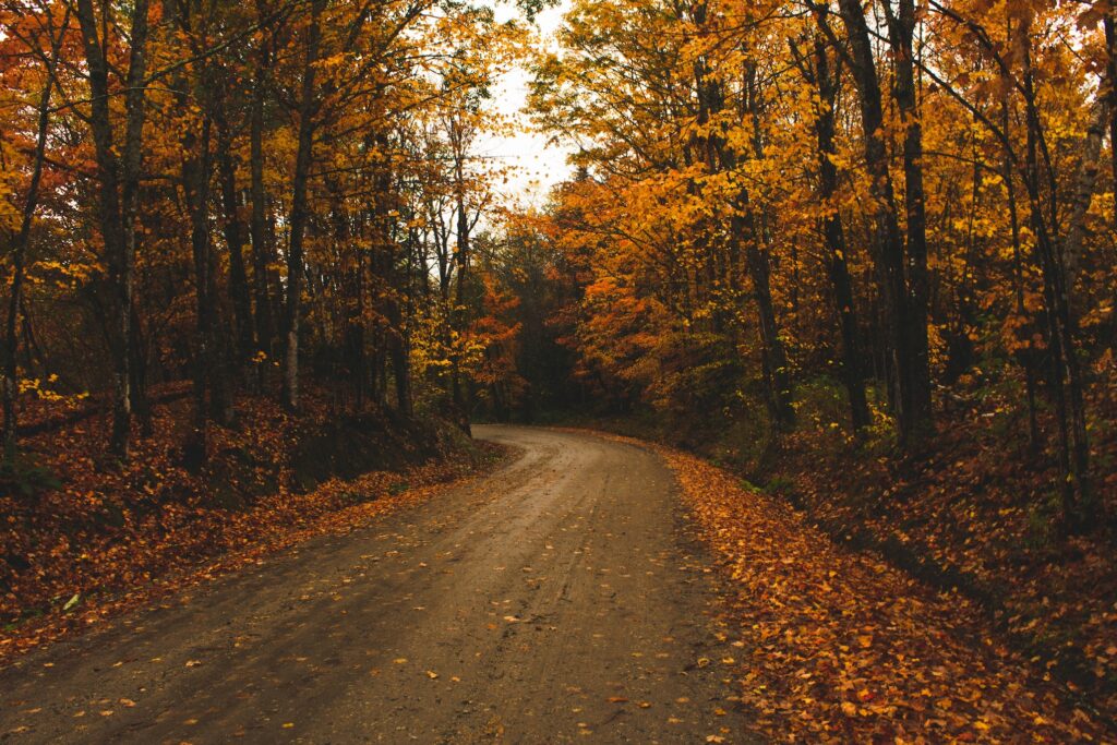 Route en Automne