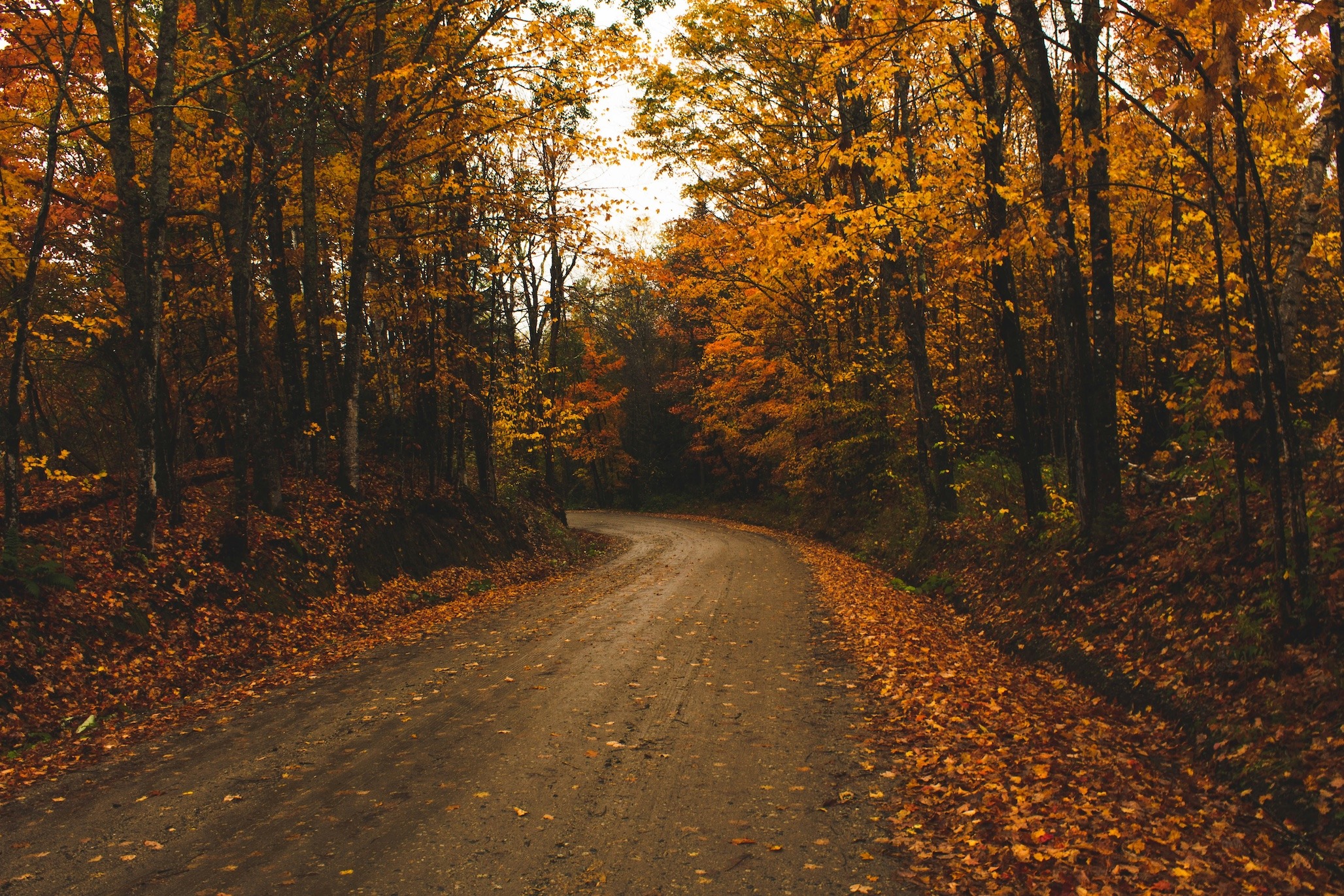 Route en Automne